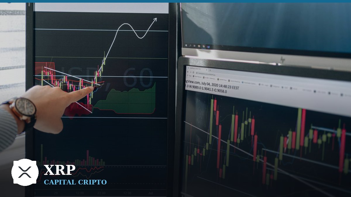 El logo de XRP estará en el campo de los Florida Gators: la jugada de Ripple con el deporte universitario