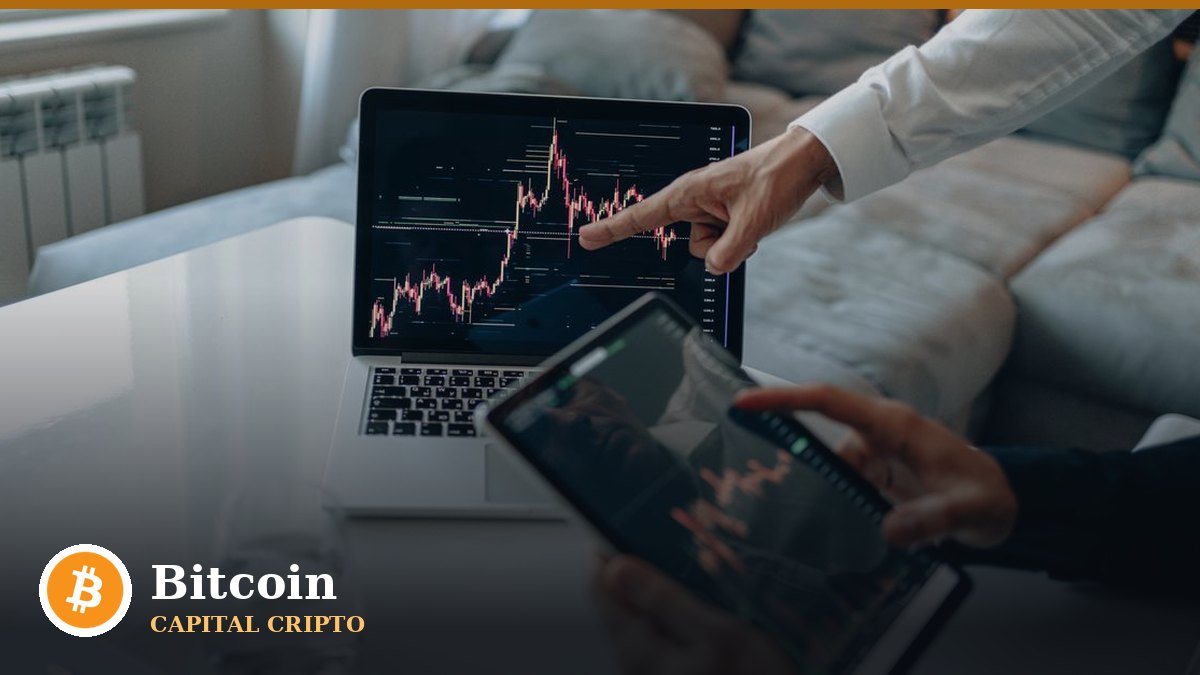 Zcash se dispara un 10,89% hasta 1.246 dólares: ¿por qué el mercado ya no mira a Bitcoin?